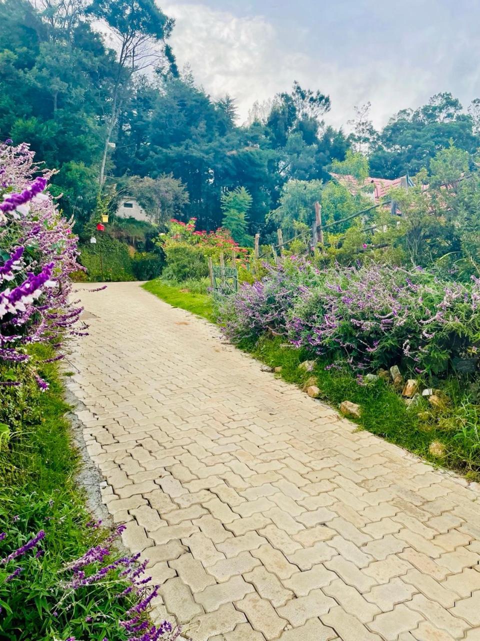 Stumpfields Bed & Breakfast Ooty Eksteriør bilde