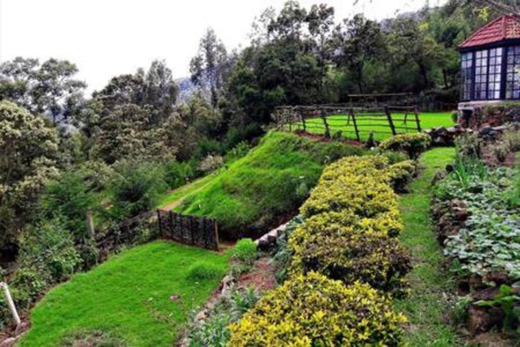 Stumpfields Bed & Breakfast Ooty Eksteriør bilde